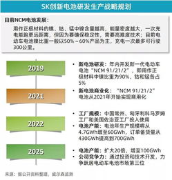 同比负增长,5月新能源乘用车市场增速放缓